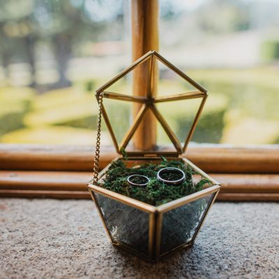Wedding rings on a golden box with glass and moss